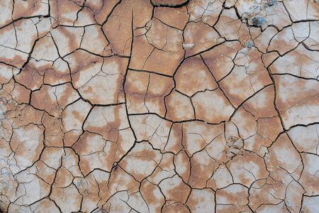 Dry soil ground cracks background texture in drought, Top view