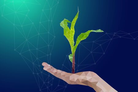 Seedling maize low polygon style on hand illustration vector, agriculture digital technology conceptsのイラスト素材