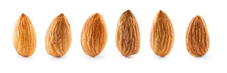 Collection macro almonds isolated on white background with clipping pathの写真素材