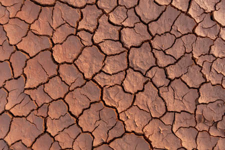 Dry soil ground cracks background texture in drought, Top viewの写真素材