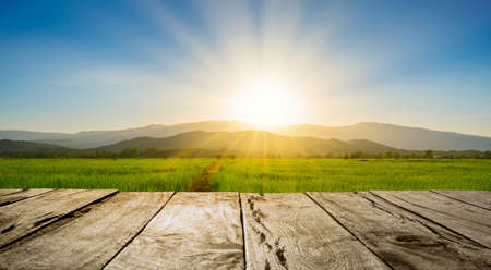 old brown wooden floor beside green rice field in the evening and beam sunsetの写真素材
