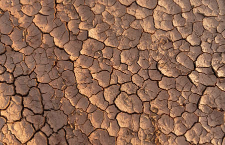 Dry soil ground cracks background texture in droughtの写真素材