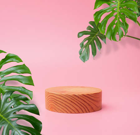 wooden podium stage cylinder for show product with green Monstera leaf on pink background with shadowsの写真素材