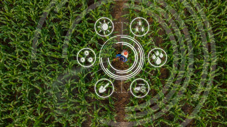 Aerial view above farmers spraying pesticides plants in corn field using an automatic machineの写真素材