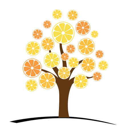 Orange or tangerine tree with green leaves. Vector illustration of a tree with ripe orange. Flat style.のイラスト素材