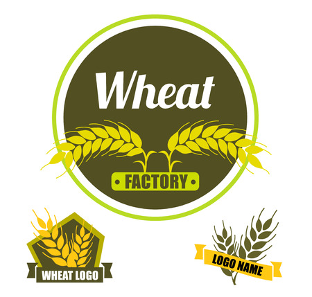 Set logo vector wheat factory. Circle green badge with gold ears on dark background. Flat design.の写真素材