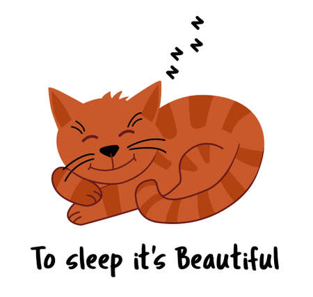 Cute pet cat happy sleeping. To sleep its beautiful.のイラスト素材