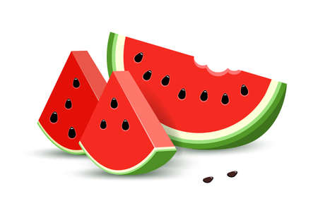 Half a watermelon and two slices with seeds, isolated on a white background.のイラスト素材