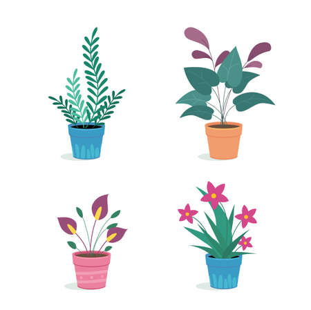Collection of home flower pots with flowers. House plants in pots.のイラスト素材