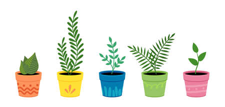 Collection of home flower pots with flowers. House plants in pots.のイラスト素材