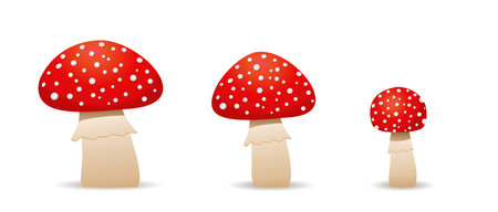 Set mushrooms toadstool cute. Inedible mushrooms. fly agaric,のイラスト素材
