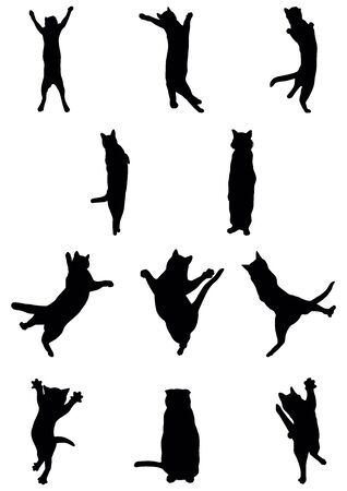 Vector set of black cats in different poses on a white background.のイラスト素材