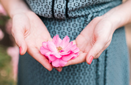 Close-up of a beautiful woman's hands holding a pink flower