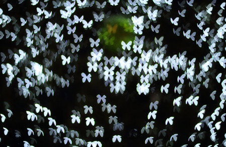 Glittering butterfly on bokeh background.の写真素材