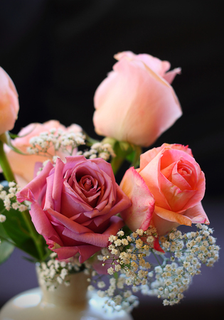 Beautiful roses in vintage style on wooden backgroundの写真素材