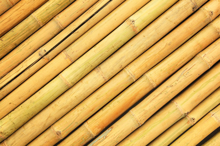 Natural bamboo fence for backgroundの写真素材