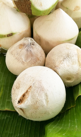 Coconuts in the marketの写真素材