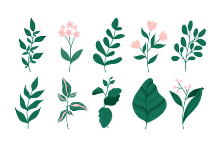 Set of modern floral elements. Flower and green leaves. Hand drawn botanical.のイラスト素材