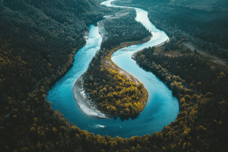 A clear river curves elegantly through a vibrant green forest under bright daylight, revealing patterns of water and trees. The tranquil environment highlights the beauty of nature.の素材