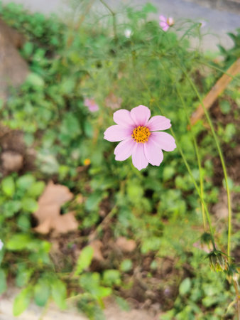 Landscape wallpaperの写真素材