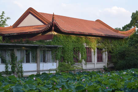 Old house and lotus pond in the city park. Architecture and nature concept.の写真素材