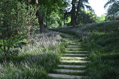 Staircase with green grass and flowers in summerの写真素材