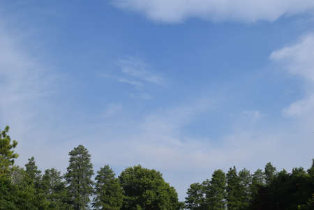 Blue sky with white clouds and green trees on a sunny summer dayの写真素材