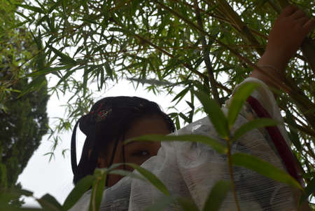 Young woman in the bamboo grove. The view from the back.の写真素材