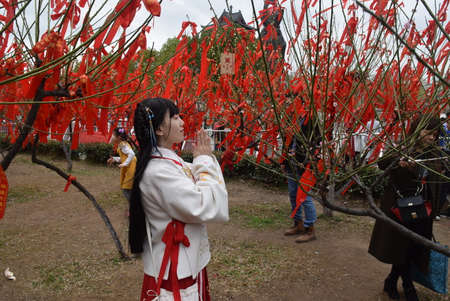 A girl in a kimono plays the sakura.の写真素材