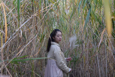 Portrait of a young Asian woman in a long dress standing in a reed field.の写真素材