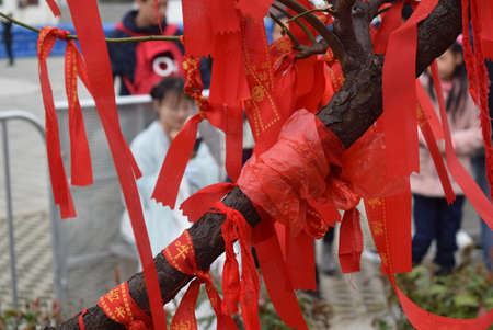 Red paper lanterns for Chinese New Yearの写真素材