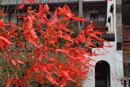 Red leaves on the trees in a Chinese temple, closeup of photoの写真素材