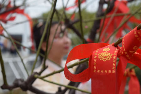 A girl in traditional clothes decorates a tree with red ribbons.の写真素材