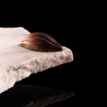 Sweets on a marble stone. Black background front view.