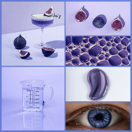 Photo collage of different images on the theme of the color of the year 2022.の写真素材