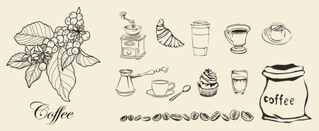Coffee drink hand drawn collection. Sketch graphic elements for menu design. Vintage vector illustration. Various coffee drinks set. Coffee cups, beans, branches illustration.のイラスト素材