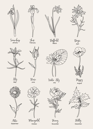 Set of flower line art vector illustrations. Snowdrop, daffodil, iris, lilies, peony, aster, holly, rose, daisy, poppy hand drawn black ink illustrations. Birth month flowers.のイラスト素材