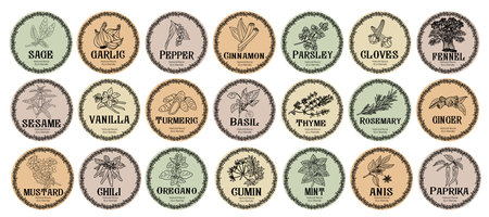 Pantry spice jar seasoning label sticker organizer set. Cardboard food labels or stickers for kitchen food containers with spices. Labels, stickers, craft decals, floral frame and spice nameのイラスト素材