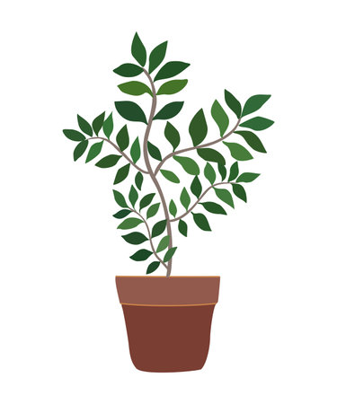 House plant vector illustration isolated on whiteのイラスト素材