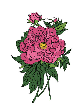 Peony November birth month flower colorful vector.のイラスト素材