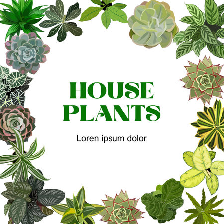 Square frame with different house plants top view.のイラスト素材