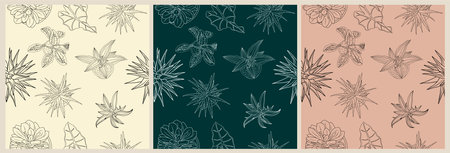 House plants seamless pattern top view line art.