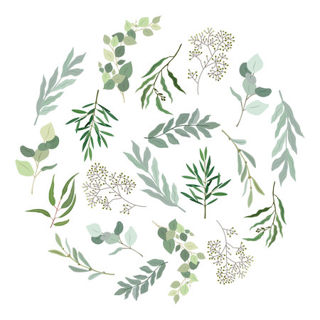 Circle filled Eucalyptus green leaves and branchesのイラスト素材