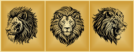 Set of Lion head black and white drawings vector.のイラスト素材