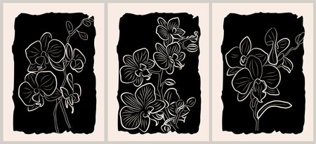 Botanical wall art set. Nordic line art drawing with orchid flowers. Abstract design for print, cover, wallpaper. Scandinavian, Japandi interior painting. Minimal beige and black vector illustrationのイラスト素材