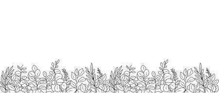 Horizontal banner, botanical line art backdrop decorated with eucalyptus leaves and herbs border. THand drawn monochrome ink sketch style outline illustration isolated on white backgroundのイラスト素材