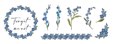 Set of forget me not flowers vector isolated.のイラスト素材