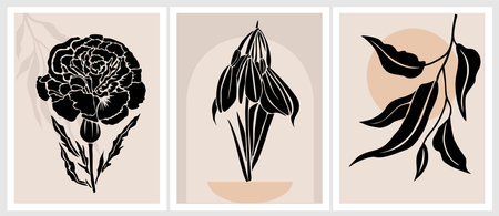 Set of Boho aesthetic abstract botanical wall artsのイラスト素材