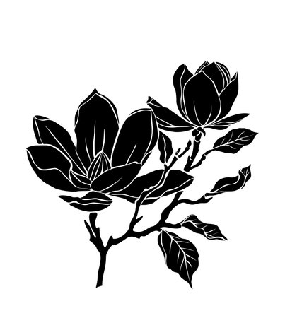 Black silhouette of magnolia flower branch vector.のイラスト素材