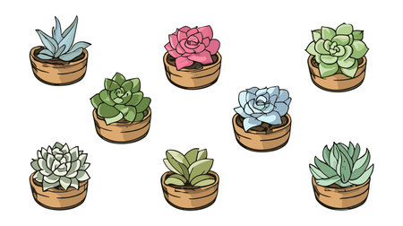Set of different potted house plants top view.のイラスト素材